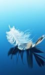 pic for Feather On Blue Surface 